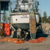 Kalla Boards ÄIJÄ 12´6"x32"  – SUP-lauta aktiiviselle eränkävijälle - Image 7